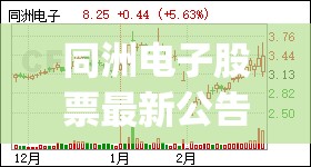 同洲电子股票最新公告(同洲电子股票最新公告消息) 同洲电子股票最新公告(同洲电子股票最新公告消息)