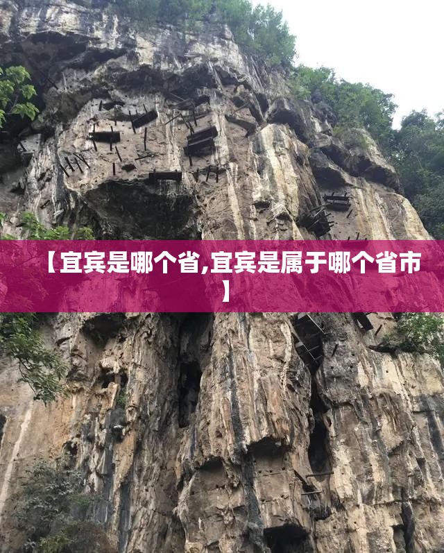 【宜宾是哪个省,宜宾是属于哪个省市】