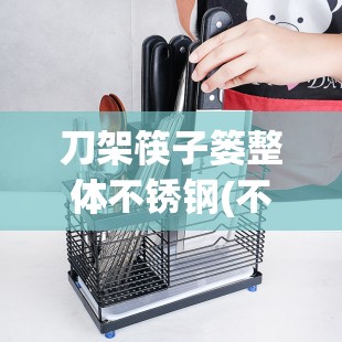 刀架筷子篓整体不锈钢(不锈钢304厨房刀架筷子架)