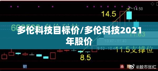 多伦科技目标价/多伦科技2021年股价