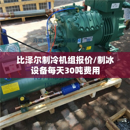 比泽尔制冷机组报价/制冰设备每天30吨费用