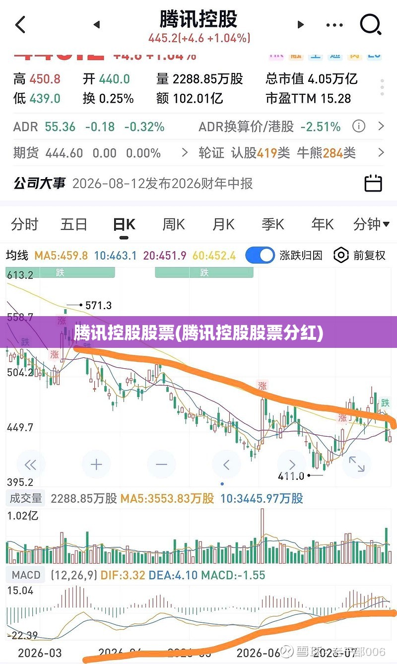 腾讯控股股票(腾讯控股股票分红)