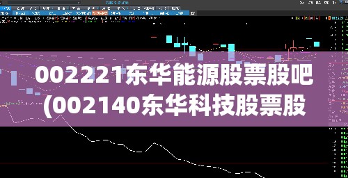 002221东华能源股票股吧(002140东华科技股票股吧东方财富)
