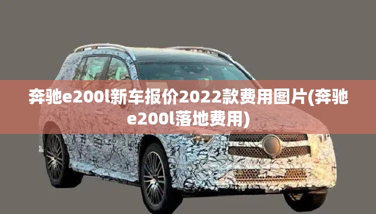 奔驰e200l新车报价2022款费用图片(奔驰e200l落地费用)