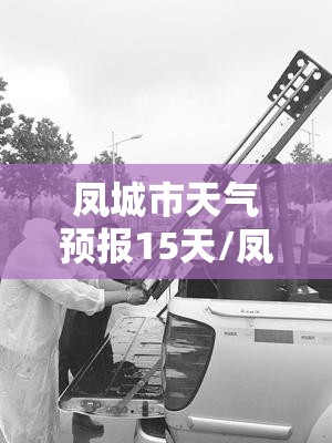 凤城市天气预报15天/凤城市今天天气预报