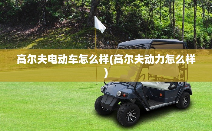 高尔夫电动车怎么样(高尔夫动力怎么样)