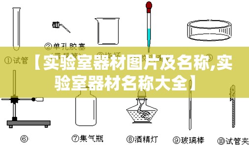 【实验室器材图片及名称,实验室器材名称大全】 【实验室器材图片及名称,实验室器材名称大全】