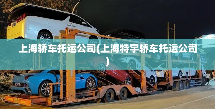 上海轿车托运公司(上海特宇轿车托运公司)