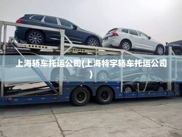 上海轿车托运公司(上海特宇轿车托运公司)