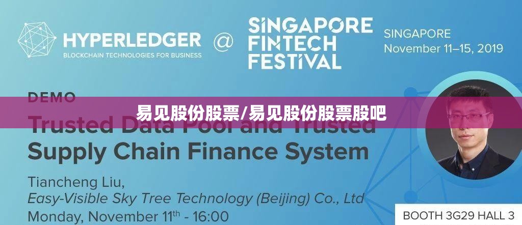 易见股份股票/易见股份股票股吧