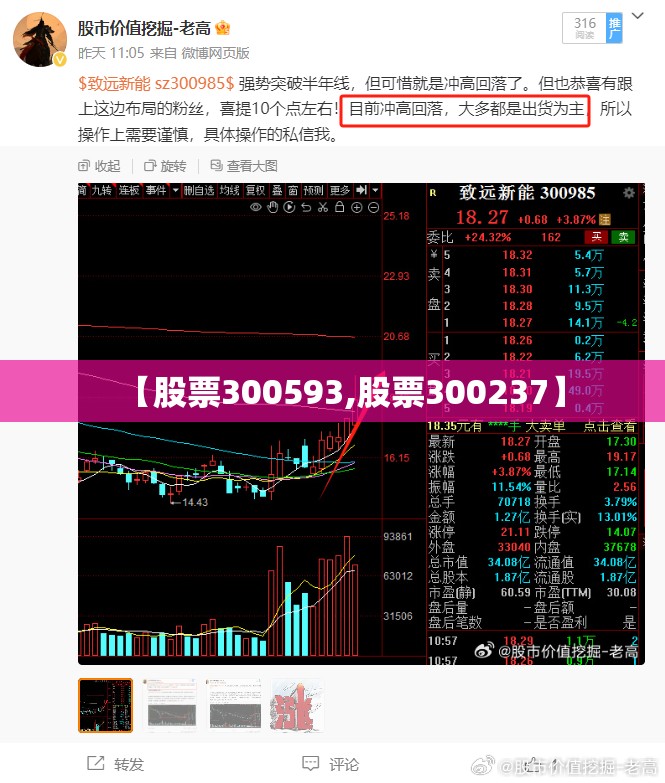 【股票300593,股票300237】