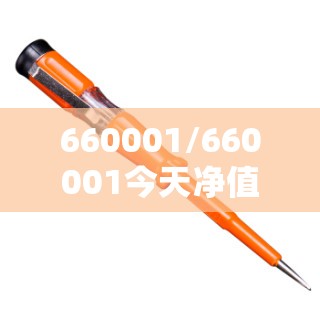 660001/660001今天净值