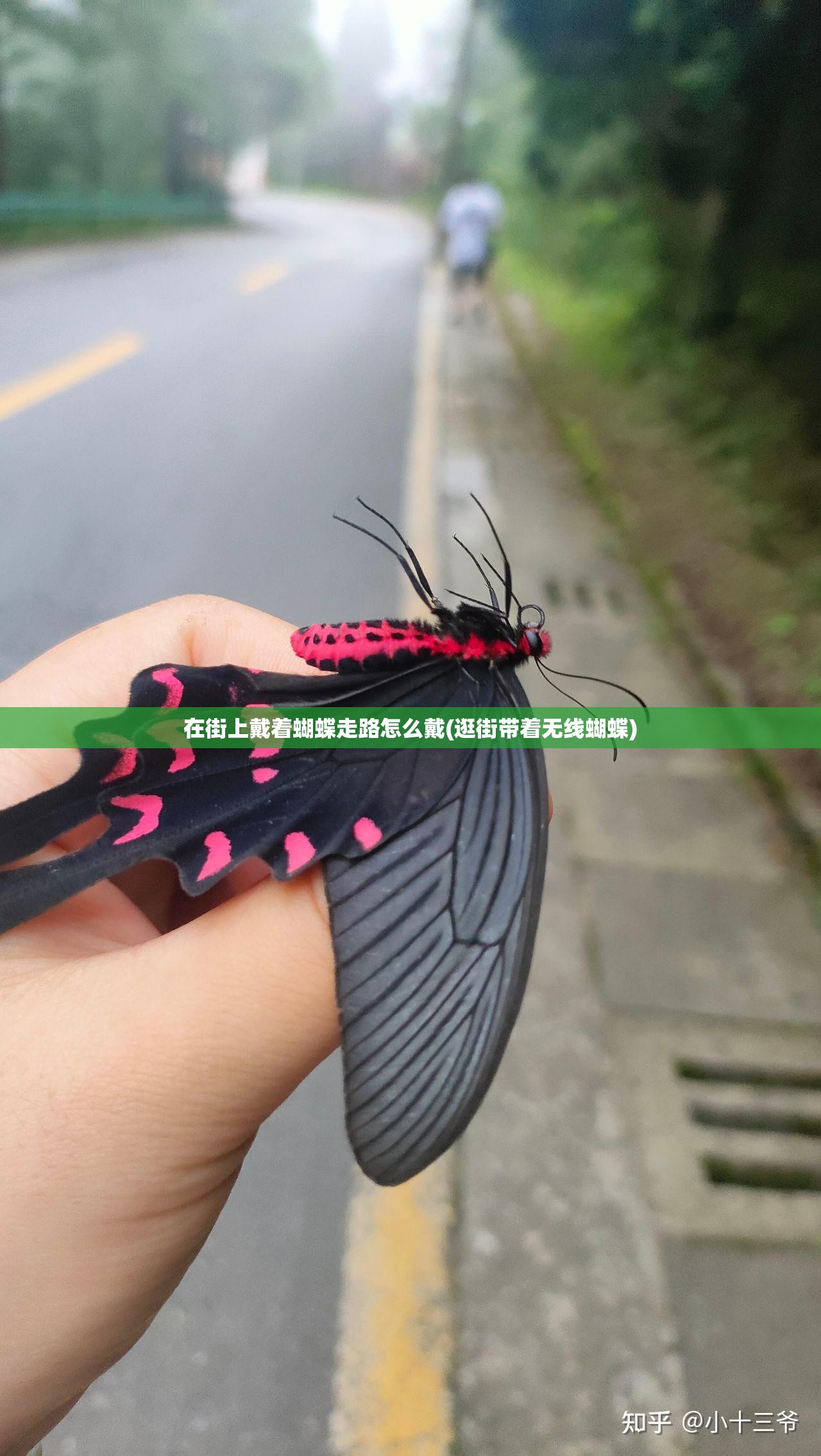 在街上戴着蝴蝶走路怎么戴(逛街带着无线蝴蝶)