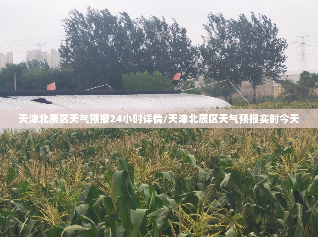 天津北辰区天气预报24小时详情/天津北辰区天气预报实时今天