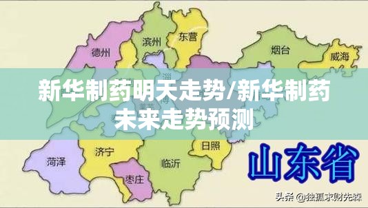 新华制药明天走势/新华制药未来走势预测