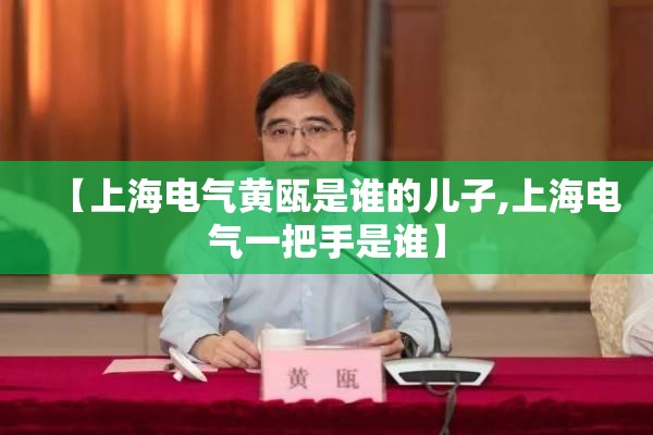 【上海电气黄瓯是谁的儿子,上海电气一把手是谁】