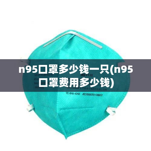 n95口罩多少钱一只(n95口罩费用多少钱)