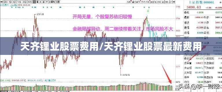 天齐锂业股票费用/天齐锂业股票最新费用