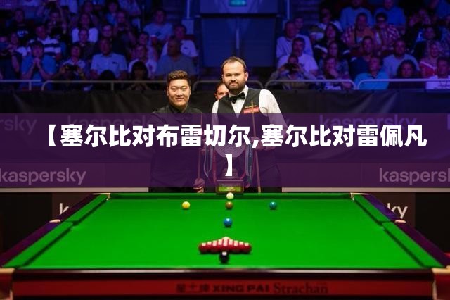 【塞尔比对布雷切尔,塞尔比对雷佩凡】 【塞尔比对布雷切尔,塞尔比对雷佩凡】