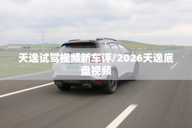天逸试驾视频新车评/2026天逸底盘视频