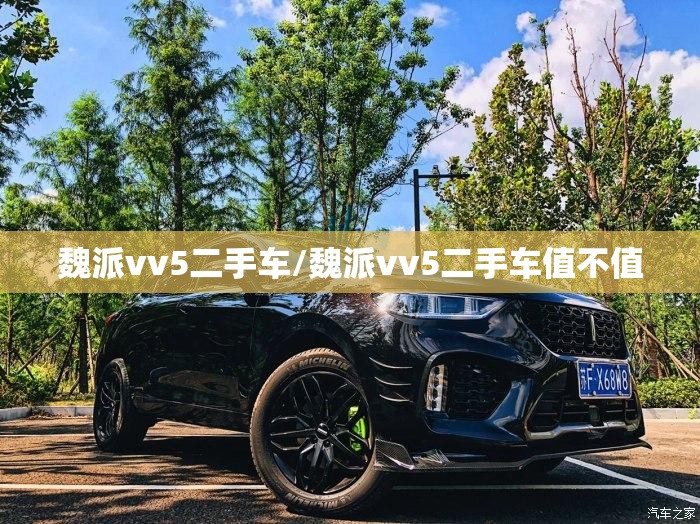魏派vv5二手车/魏派vv5二手车值不值