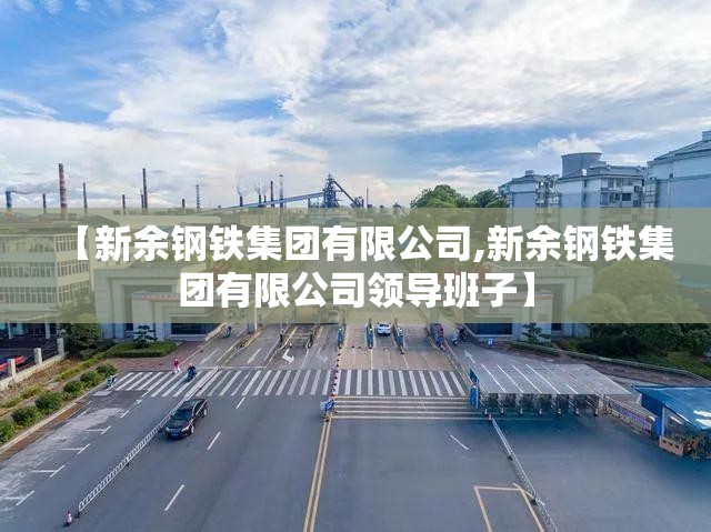【新余钢铁集团有限公司,新余钢铁集团有限公司领导班子】