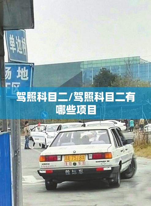 驾照科目二/驾照科目二有哪些项目