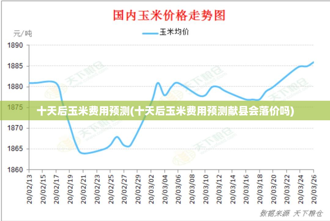 十天后玉米费用预测(十天后玉米费用预测献县会落价吗)