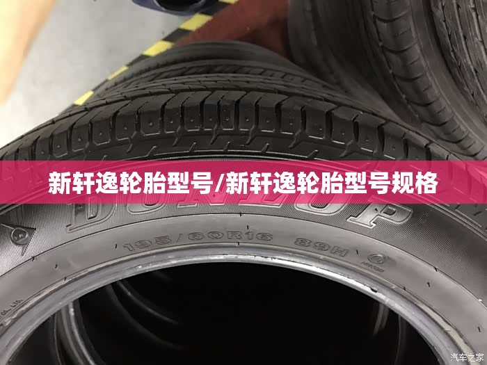 新轩逸轮胎型号/新轩逸轮胎型号规格