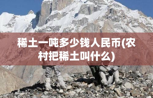 稀土一吨多少钱人民币(农村把稀土叫什么) 稀土一吨多少钱人民币(农村把稀土叫什么)