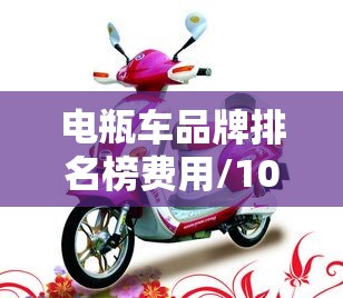 电瓶车品牌排名榜费用/10大电瓶车品牌排名榜 电瓶车品牌排名榜费用/10大电瓶车品牌排名榜