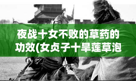 夜战十女不败的草药的功效(女贞子十旱莲草泡水喝的功效)