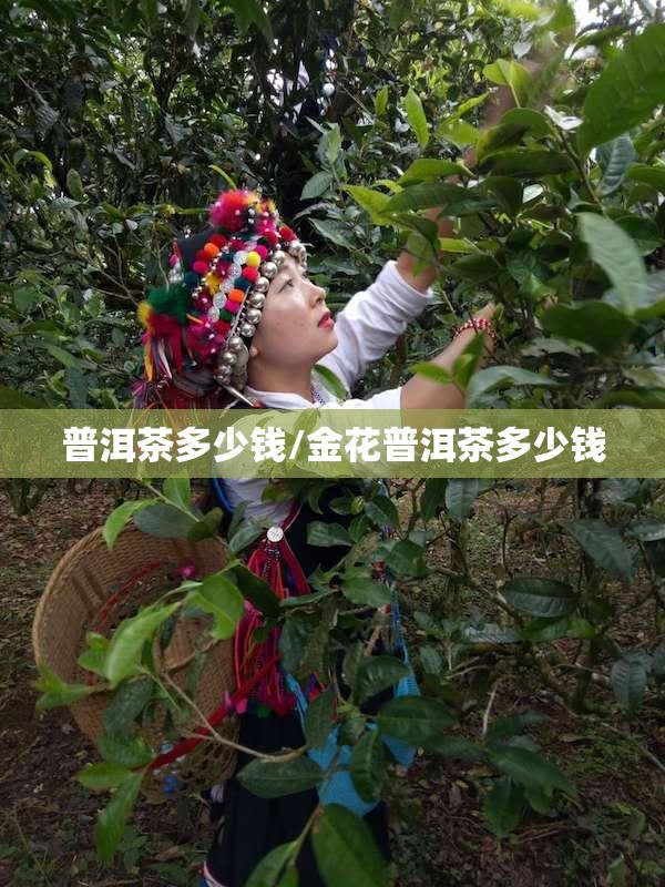 普洱茶多少钱/金花普洱茶多少钱