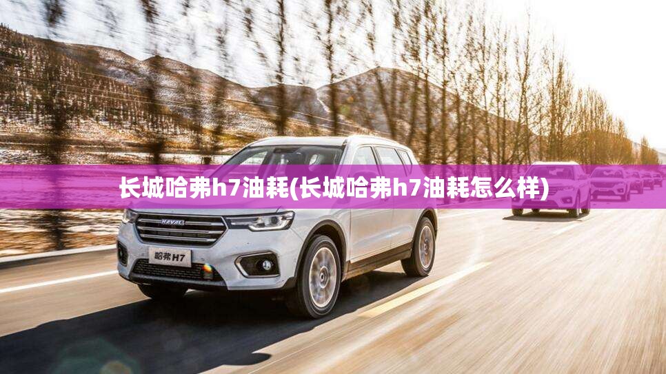 长城哈弗h7油耗(长城哈弗h7油耗怎么样) 长城哈弗h7油耗(长城哈弗h7油耗怎么样)