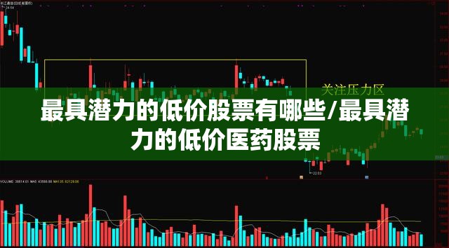 最具潜力的低价股票有哪些/最具潜力的低价医药股票 最具潜力的低价股票有哪些/最具潜力的低价医药股票