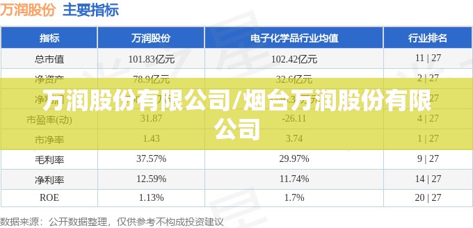 万润股份有限公司/烟台万润股份有限公司