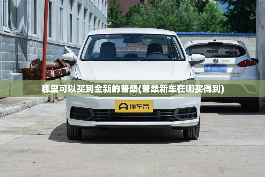 哪里可以买到全新的普桑(普桑新车在哪买得到) 哪里可以买到全新的普桑(普桑新车在哪买得到)