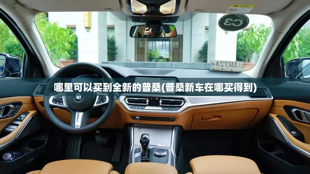 哪里可以买到全新的普桑(普桑新车在哪买得到) 哪里可以买到全新的普桑(普桑新车在哪买得到)