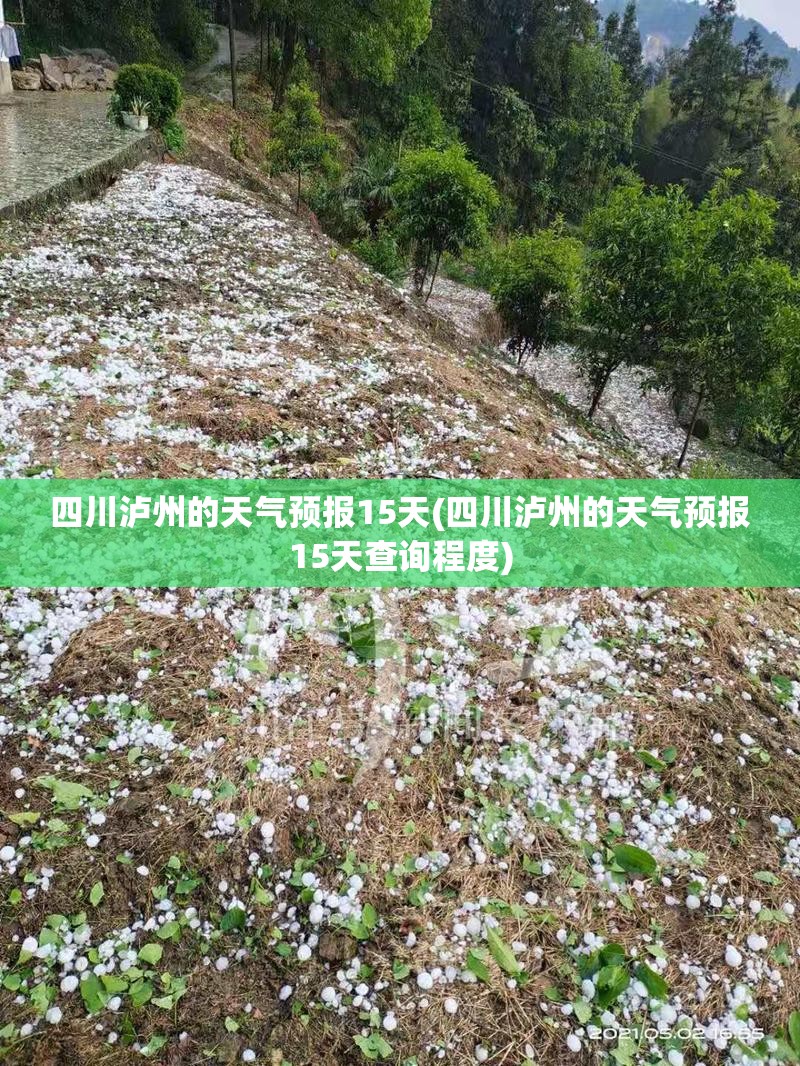 四川泸州的天气预报15天(四川泸州的天气预报15天查询程度) 四川泸州的天气预报15天(四川泸州的天气预报15天查询程度)
