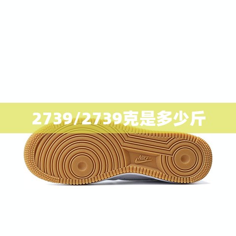 2739/2739克是多少斤 2739/2739克是多少斤