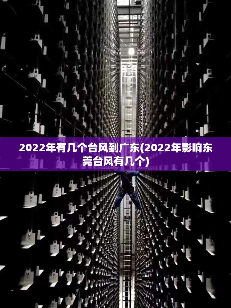 2022年有几个台风到广东(2022年影响东莞台风有几个)