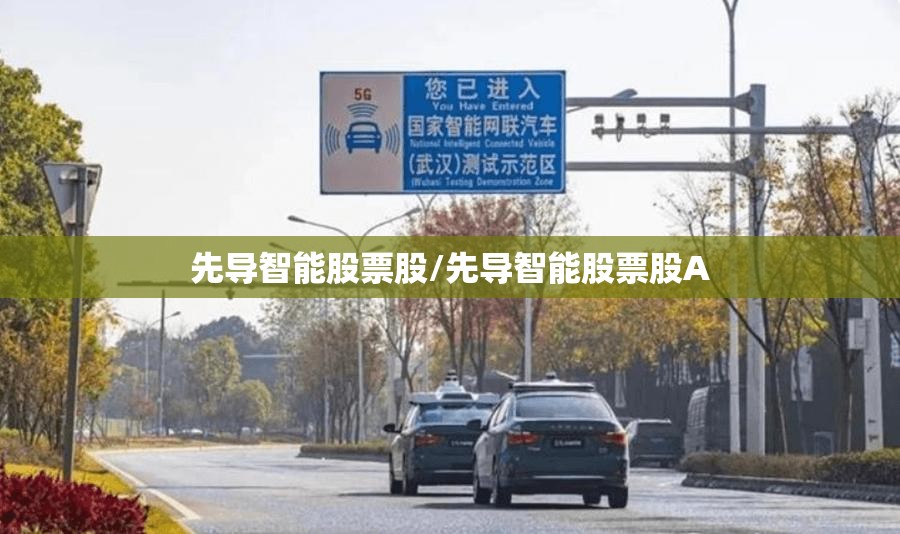 先导智能股票股/先导智能股票股A