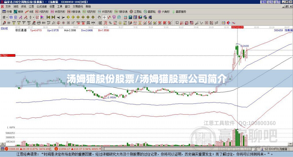 汤姆猫股份股票/汤姆猫股票公司简介