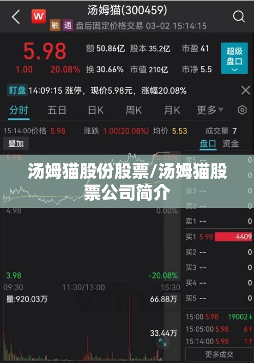 汤姆猫股份股票/汤姆猫股票公司简介