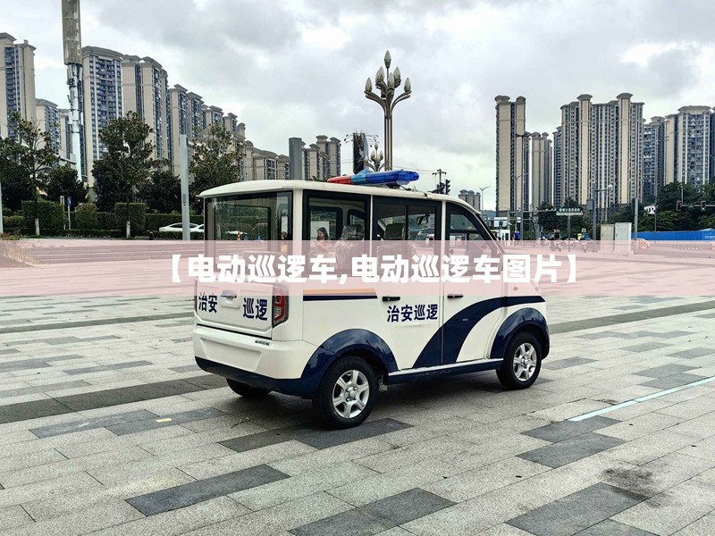 【电动巡逻车,电动巡逻车图片】
