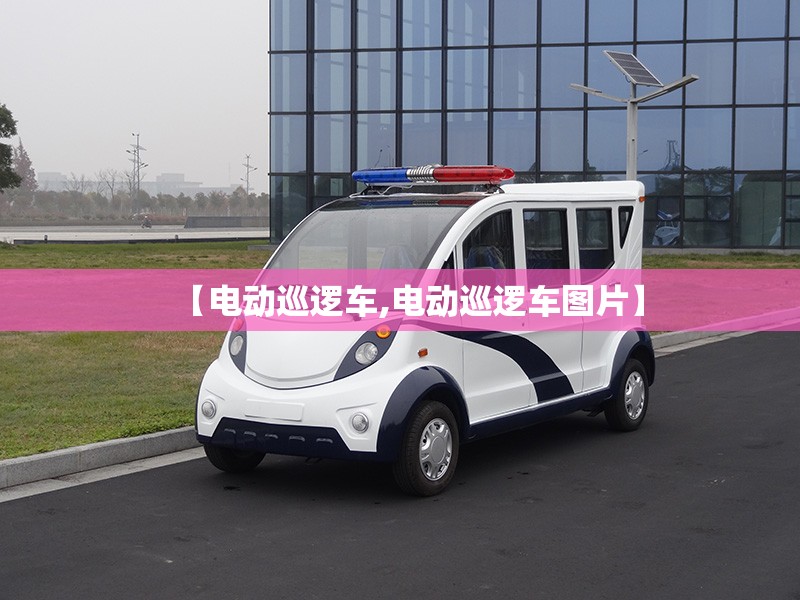 【电动巡逻车,电动巡逻车图片】