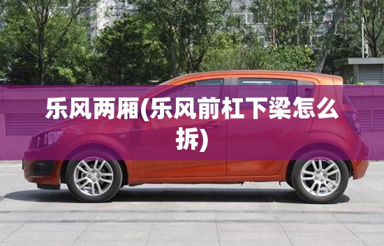乐风两厢(乐风前杠下梁怎么拆)