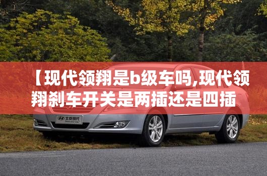 【现代领翔是b级车吗,现代领翔刹车开关是两插还是四插的】