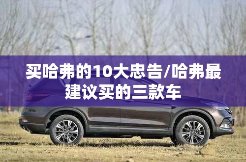 买哈弗的10大忠告/哈弗最建议买的三款车