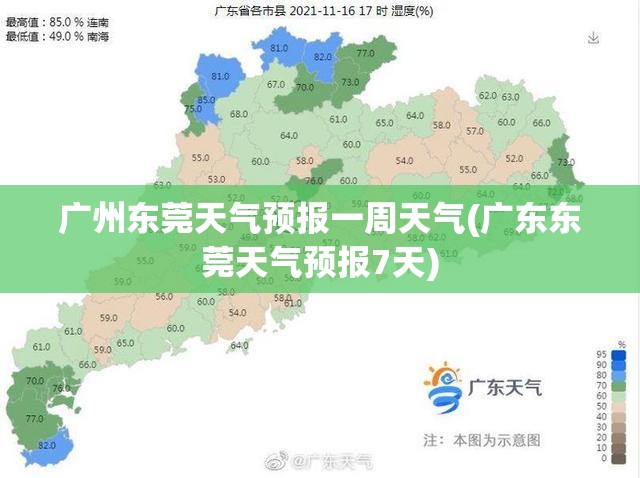 广州东莞天气预报一周天气(广东东莞天气预报7天)